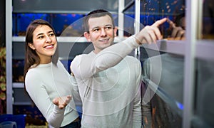 Couple watching fish in petshop