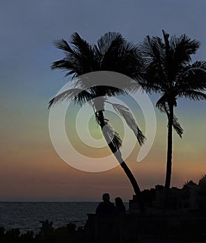 Couple Watching The Sunset