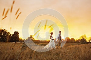 Couple in wedding attire against the backdrop of the field at sunset, the bride and groom.