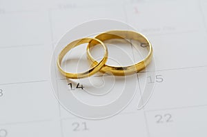 Couple of Wedding Rings