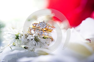 Couple wedding rings on a white flower and Red background