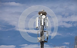 couple of white Storks nesting on a cell tower