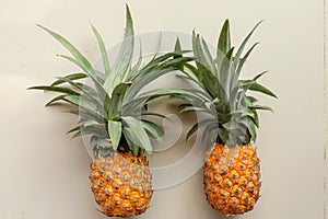 Couple whole pineapple tropical fruit or ananas isolated on white background. Whole ananas with leaves. Yellow orange ripe fresh