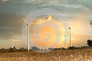 Couple of windmill over cotton farm