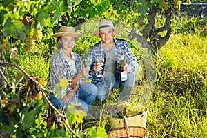 Couple of winegrowers tasting white wine in vineyard