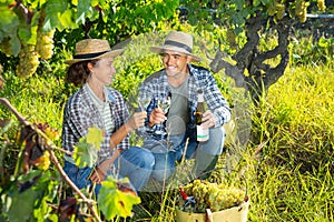 Couple of winegrowers tasting white wine in vineyard