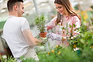 Couple of workers tending a plant in greenhouse