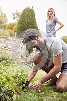 Couple Working Outdoors In Garden At Home Digging And Planting