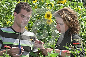 Couple working together in the garden