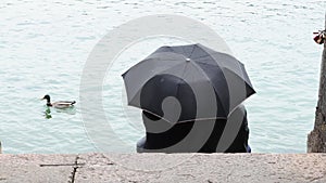 A couple of young people sit under a black umbrella on the shore of the lake on a rainy day, rear view. Peeped frame