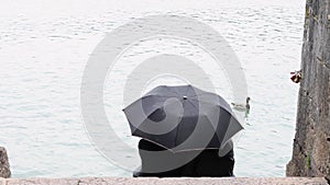 A couple of young people sit under a black umbrella on the shore of the lake on a rainy day, rear view. Peeped frame