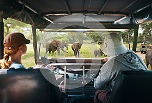 Couple young people watch wild elephants on safari tour in national park in Africa.