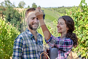 couple of young winemakers picking bunches of grapes in the vineyard