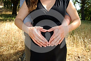 Couples hands in heart