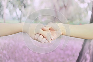 Couples holding hands in heart shape at pink flower park with t