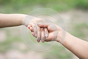 Couples holding hands on Valentine`s Day On blurred natural outdoor background