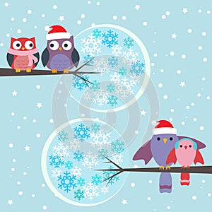 Couples of owls and birds winter