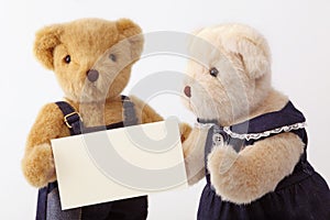 Couples teddy bear
