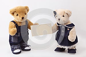 Couples teddy bear