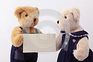 Couples teddy bear