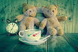 Couples teddy bear.