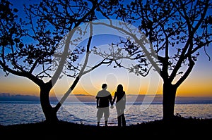 Couples under the tree at sunset