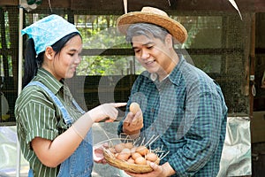 Couples are working at the chicken egg farm. And are choosing fresh eggs Both look happy and healthy