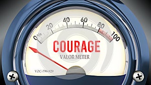 Courage and Valor Meter that hits less than zero, very low level of courage