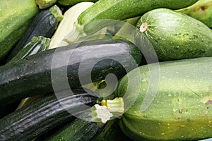 Courgette