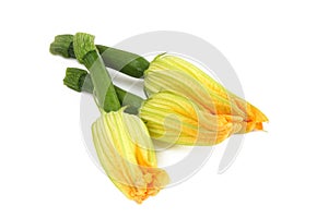 Courgette Flowers