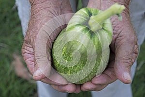 Courgette and hands