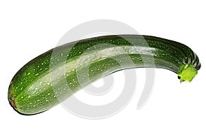 Courgettes are closely related to the cucumber and the zucchini or courgettes can be eaten with peel