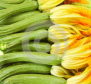 Courgettes or zucchini with flowers