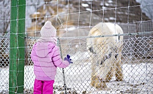 Courious little child looking at an captive animal at zoo park