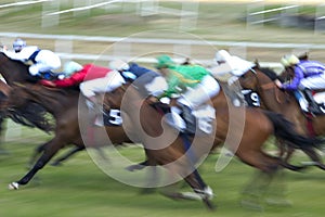 course de chevaux photo