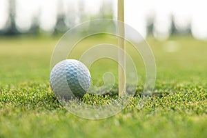 Course Golf ball cub on the green near hole for Family day.