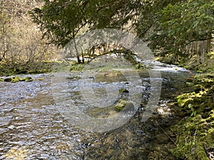 The course of the river Orbe between the cave or spring and the settlement of Vallorbe der Fluss Orbe or le fleuve de l`Orbe