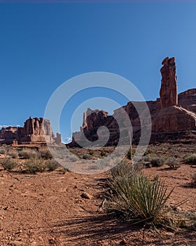 Red dirt and sagebrush views of the Courthouse Towers in Arches National Park on a Sunny Blue Sky day photo