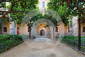 Courtyard of Barcelona library, garden de Rubio i Lluchin photo