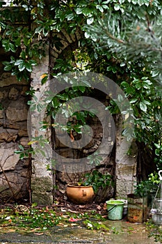 The courtyard of the country house is in greenery and with old masonry of limestone, ivy and pine needles