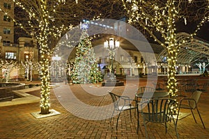 Courtyard Decorated Holiday Tree Virginia