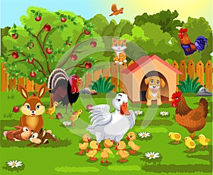 Courtyard with farm animals and their babies
