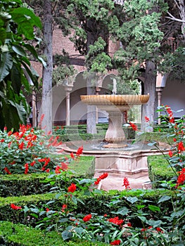 Courtyard Garden - The Alhambra photo