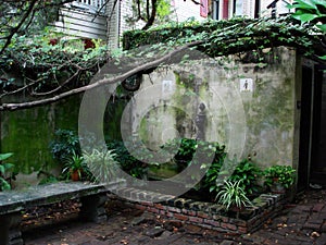 Courtyard garden with bricks, stone bench, and vines