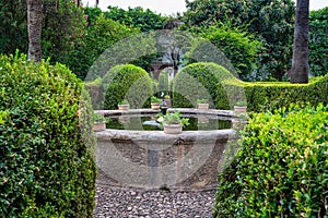 Courtyard garden of Viana Palace in Cordoba, Andalusia, Spain photo