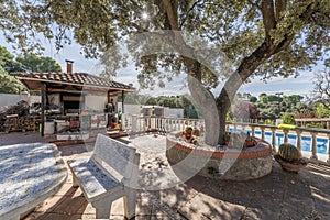 Courtyard on the grounds of a single-family home with a swimming pool, large olive trees and a woodshed for the winter
