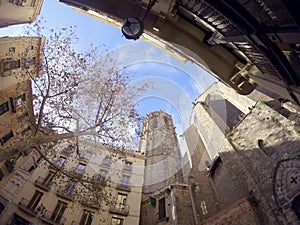 Courtyard of a historic complex in the Gothic Quarter. Spain, Catalonia, Barcelona city.