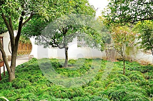 Courtyard in Humble Administrator's Garden