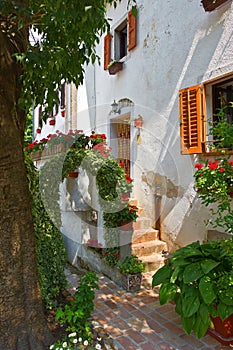 Courtyard of mediterranean house