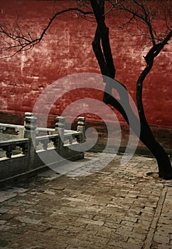 Courtyard of the Palace Museum